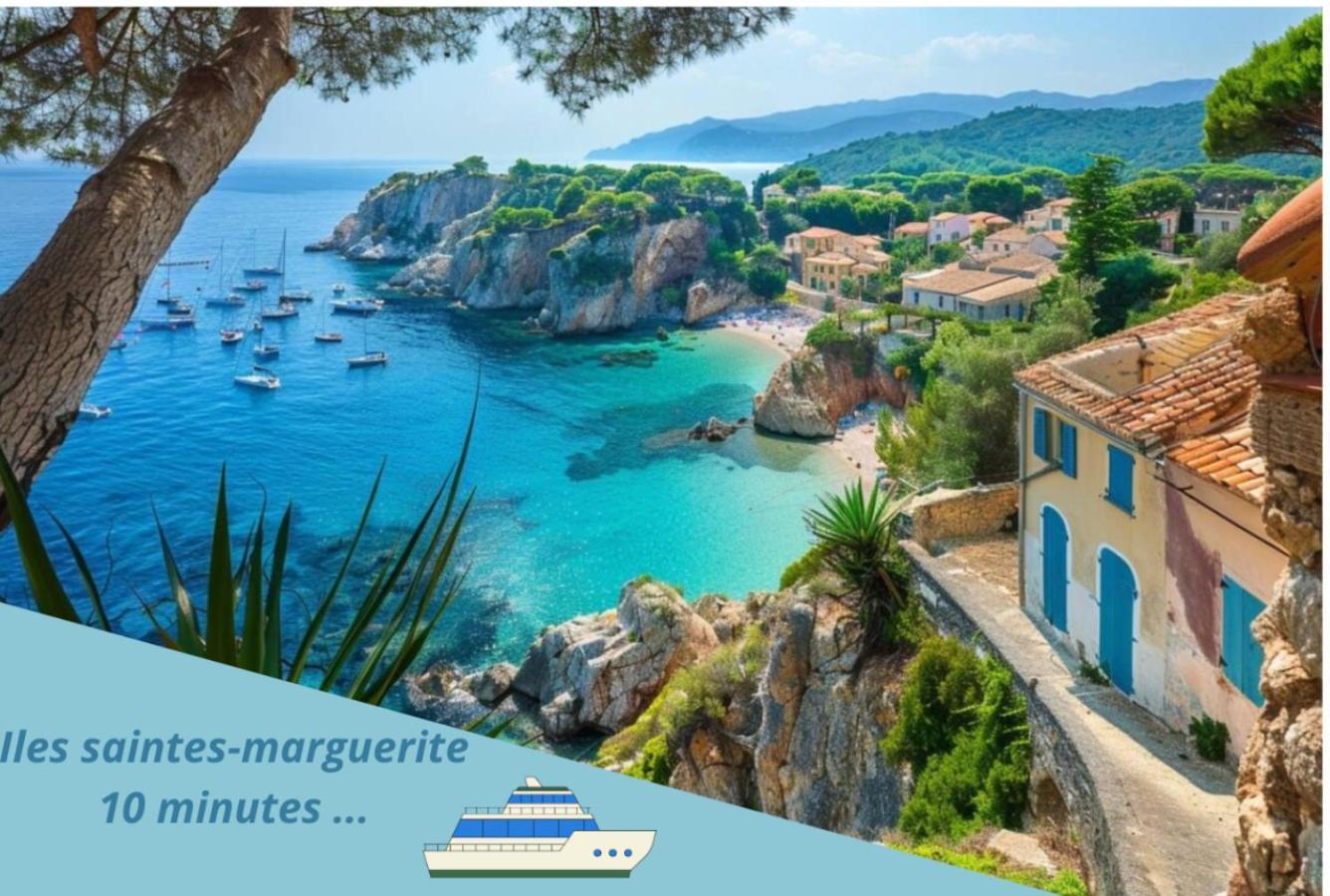 F3 Notre-Dame , Hypercentre A 2 Minute Du Palais Des Congres Apartment Cannes Bagian luar foto